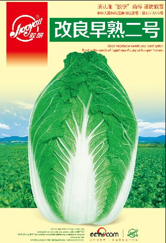 Disease-resistant Early-maturing No.2——Autumn-sowing Cabbage